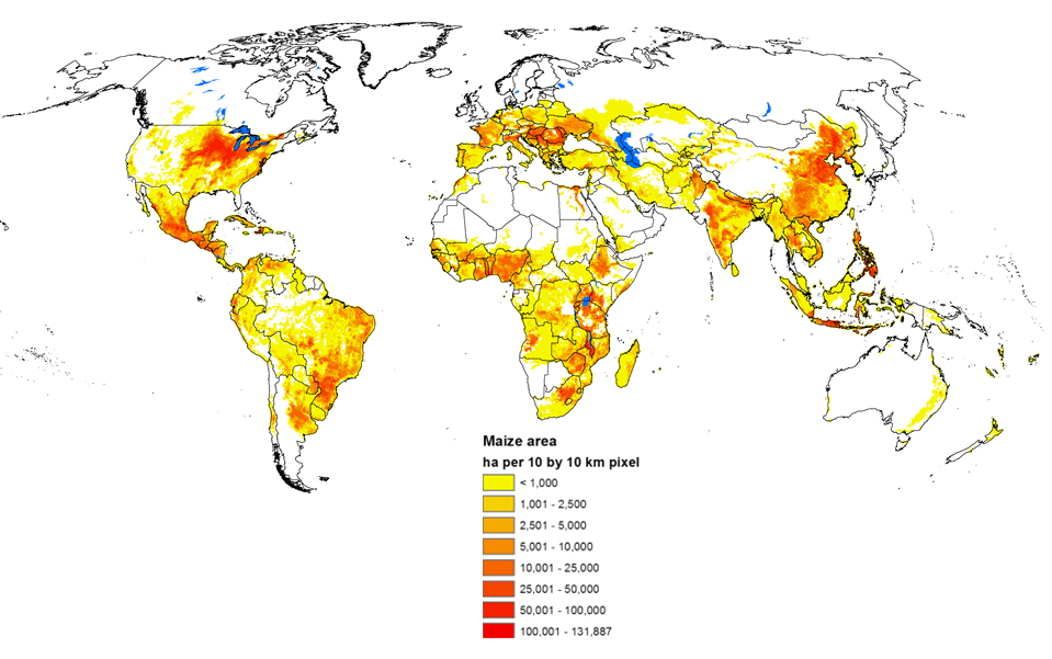 Maize and wheat global production areas v3 2005_009