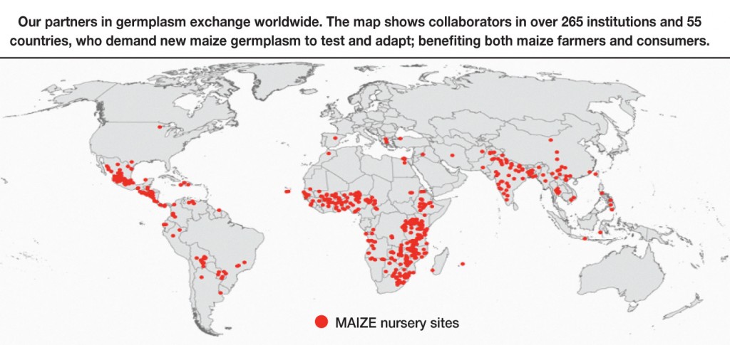 Map describing MAIZE CRP nursery sites around the world