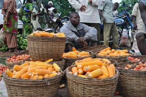 Selling maize cobs in a market