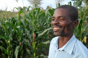 Double maize yields for Malawian farmer with conservation agriculture